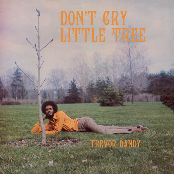 Don't Cry Little Tree